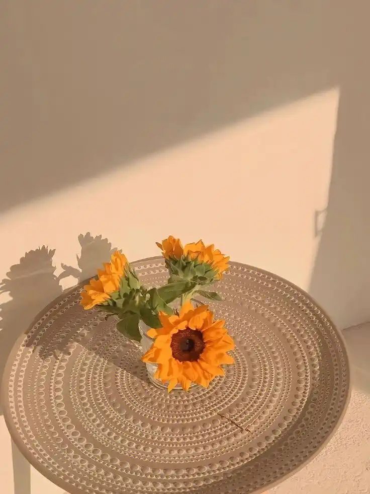 草莓视频鸿蒙版V60.61.25下载